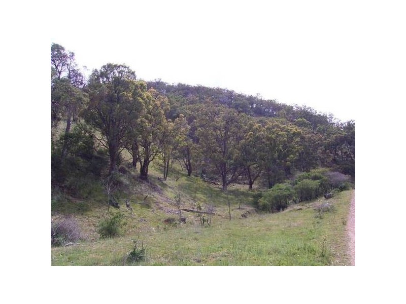 Mudgee NSW 2850
