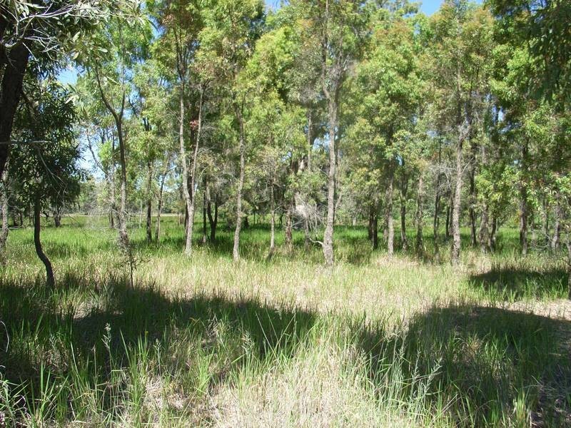 Mudgee NSW 2850