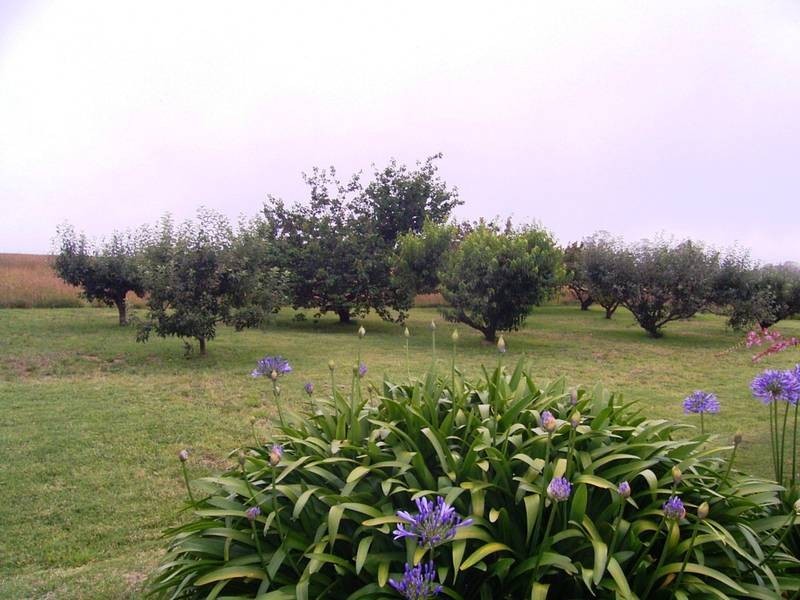 Mudgee NSW 2850