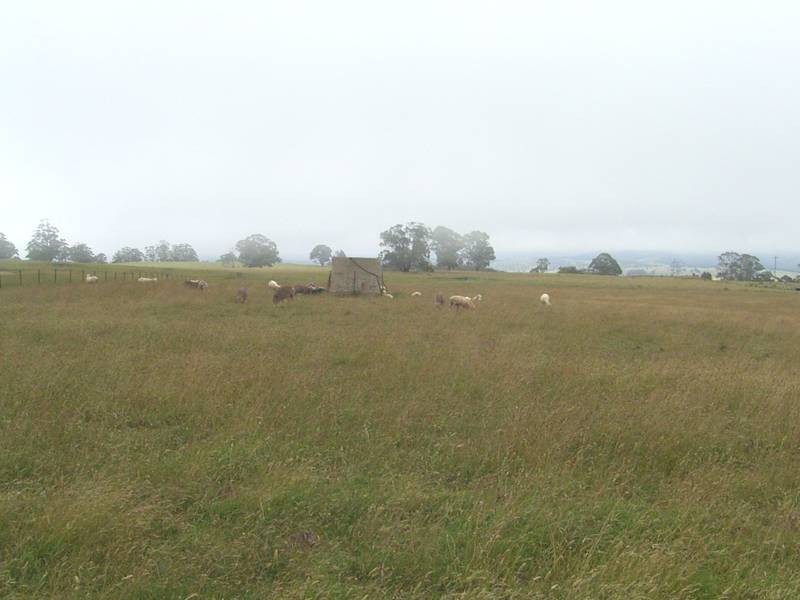 Mudgee NSW 2850