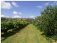 Rylstone NSW 2849