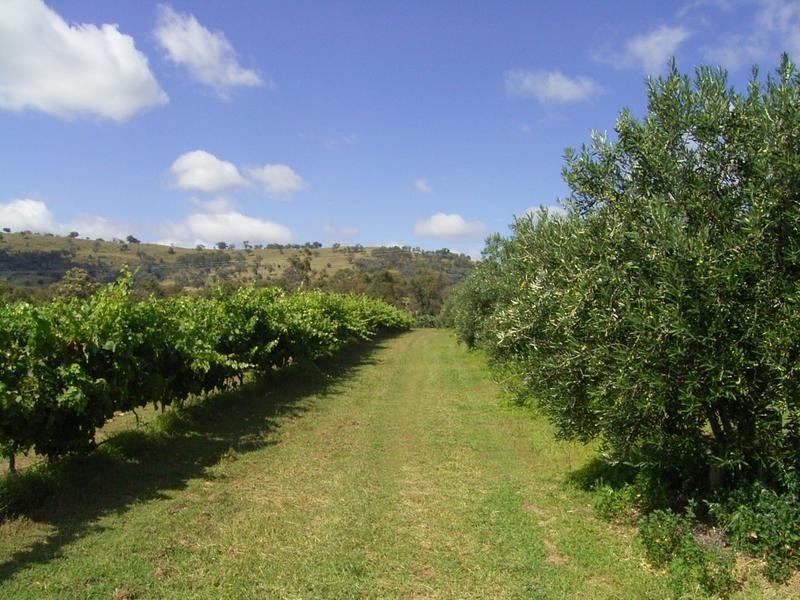 Rylstone NSW 2849