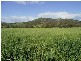 Mudgee NSW 2850