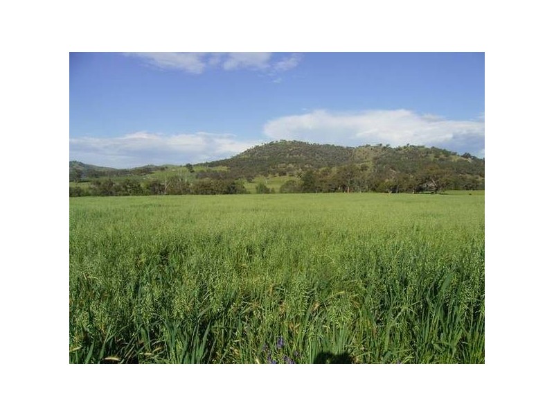 Mudgee NSW 2850