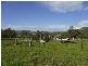 Mudgee NSW 2850
