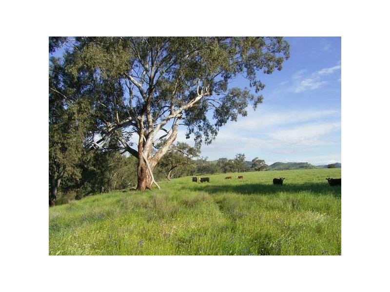Mudgee NSW 2850
