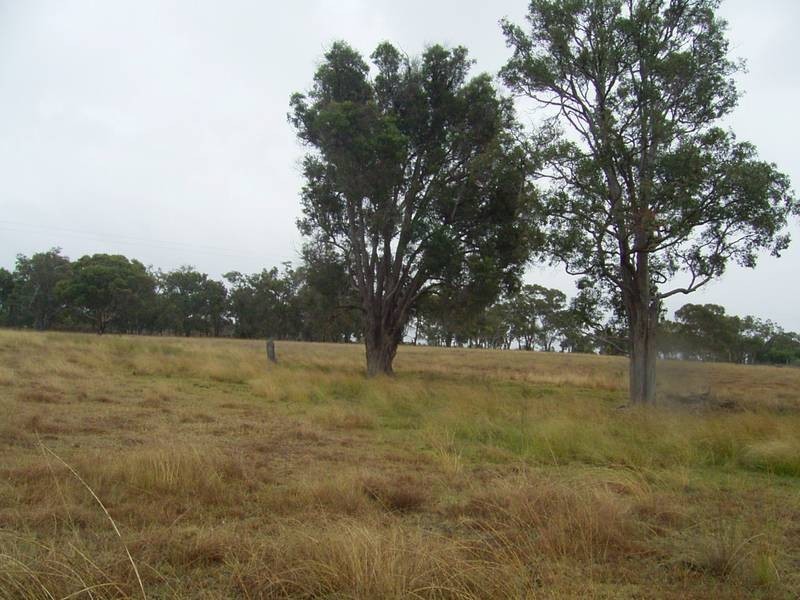 Mudgee NSW 2850