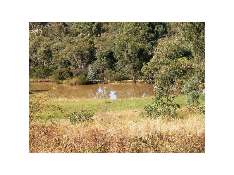 Rylstone NSW 2849