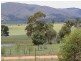 Mudgee NSW 2850