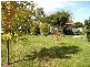 Mudgee NSW 2850