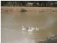 Mudgee NSW 2850