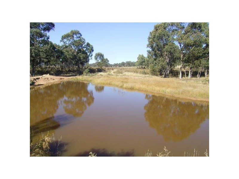 Mudgee NSW 2850