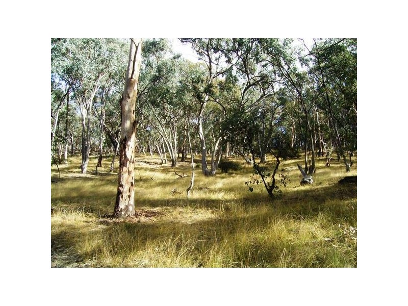 Mudgee NSW 2850