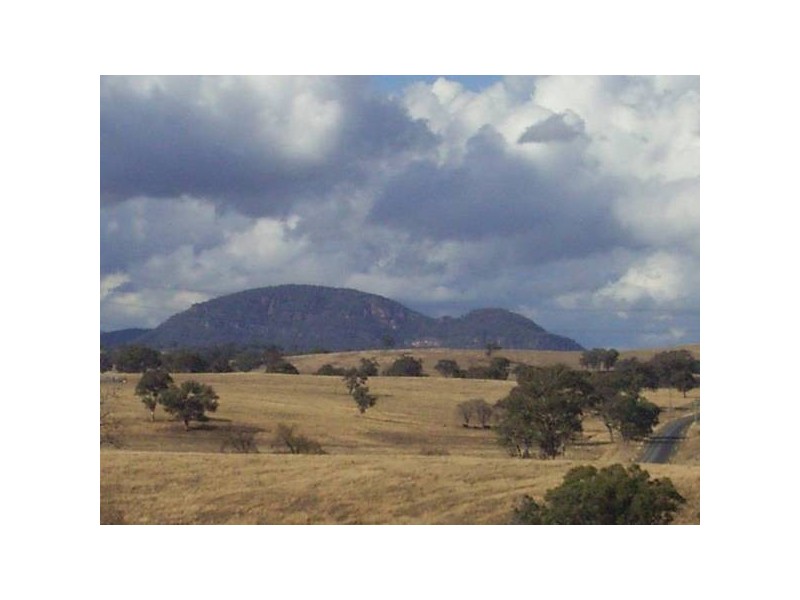 Mudgee NSW 2850
