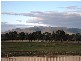 Mudgee NSW 2850