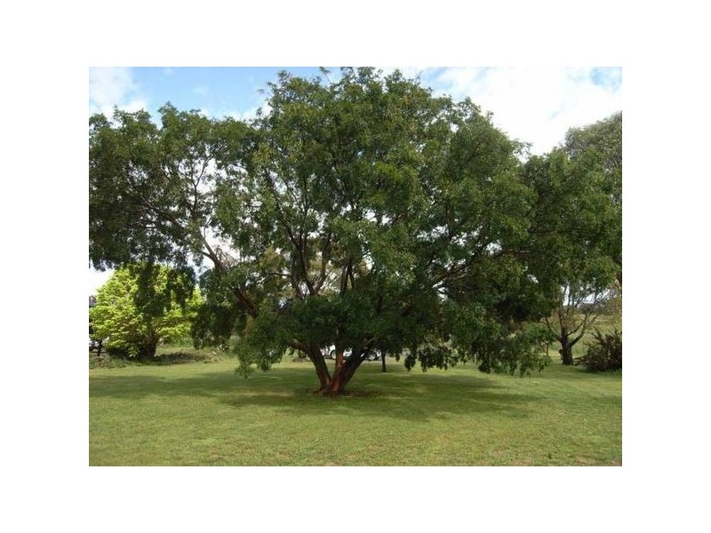Coolah NSW 2843