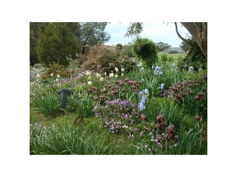 Coolah NSW 2843