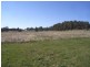 Mudgee NSW 2850