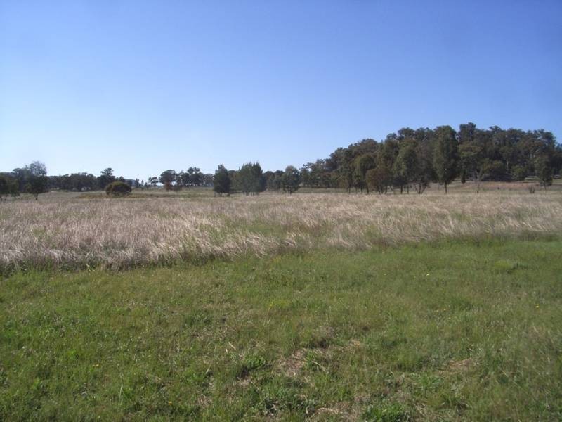 Mudgee NSW 2850