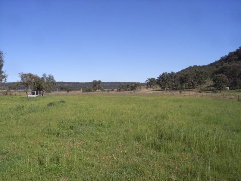 Mudgee NSW 2850