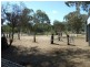 Gulgong NSW 2852