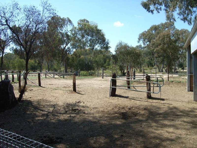 Gulgong NSW 2852