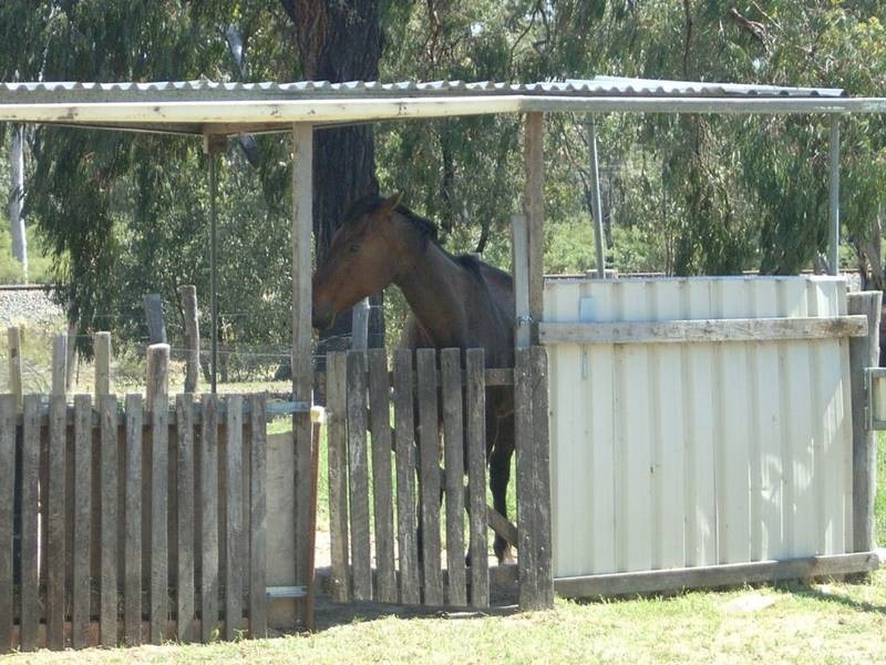 Gulgong NSW 2852