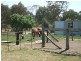 Gulgong NSW 2852