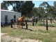 Gulgong NSW 2852