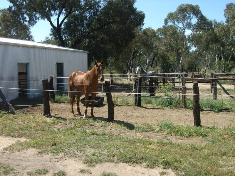 Gulgong NSW 2852