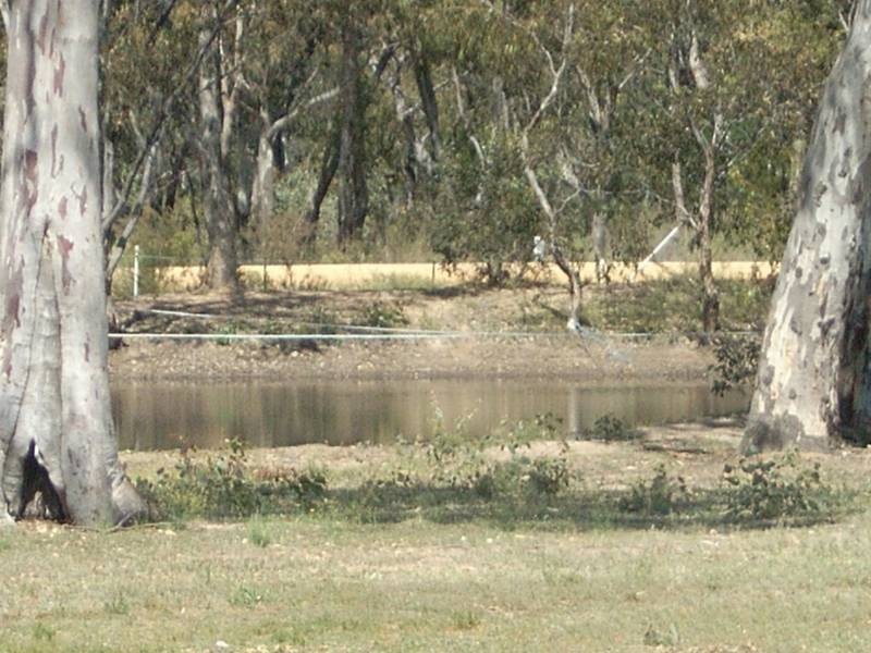 Gulgong NSW 2852
