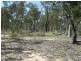 Gulgong NSW 2852