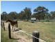 Gulgong NSW 2852