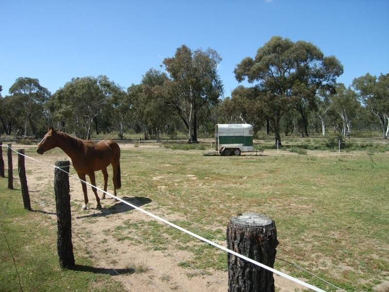 Gulgong NSW 2852