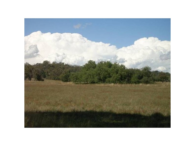 Mudgee NSW 2850