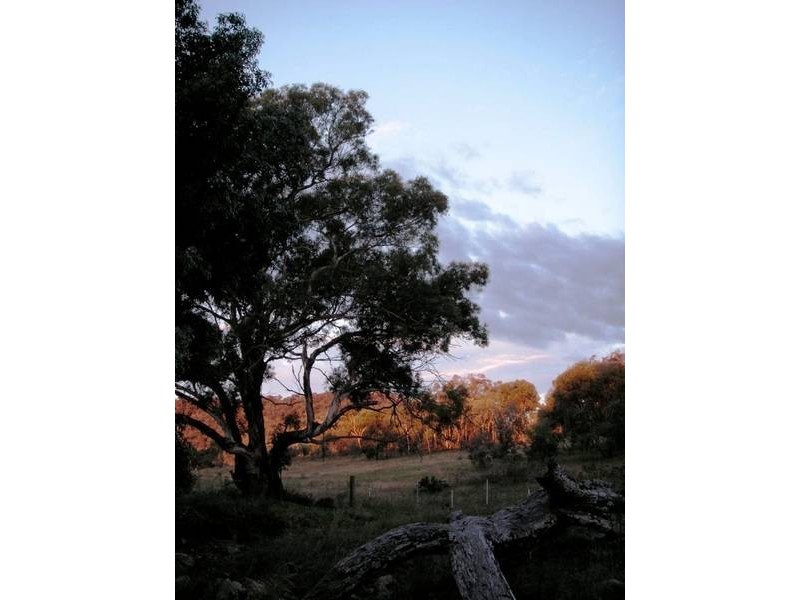Mudgee NSW 2850