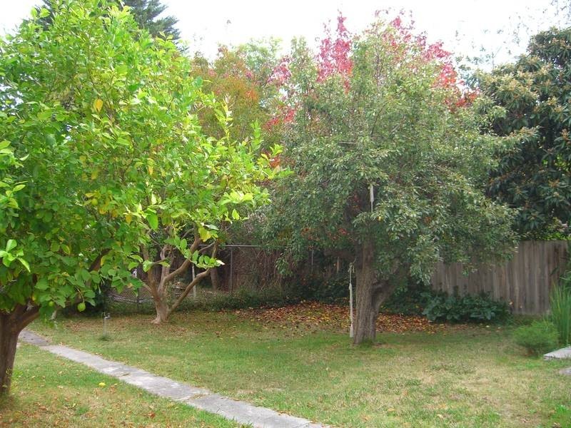 6 Gowar Ave, Camberwell VIC 3124