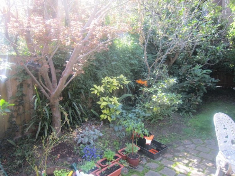 3/18 Langham Place, Hawthorn VIC 3122