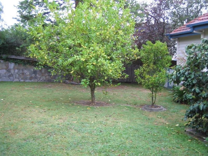 1 Thomas Street, Camberwell VIC 3124