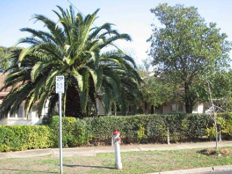 11 George Street, Camberwell VIC 3124