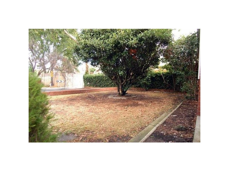 Hawthorn East VIC 3123