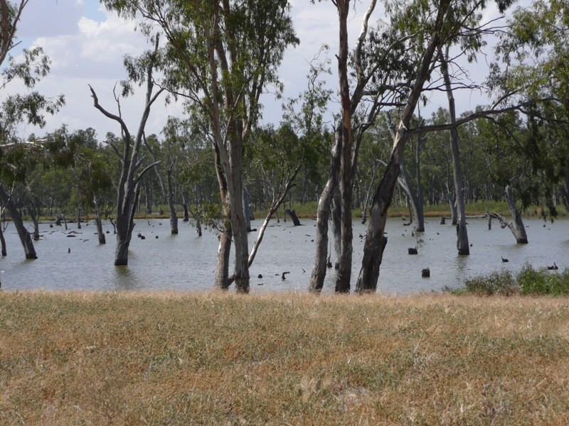 26 Lakeside Drive, Bundalong VIC 3730