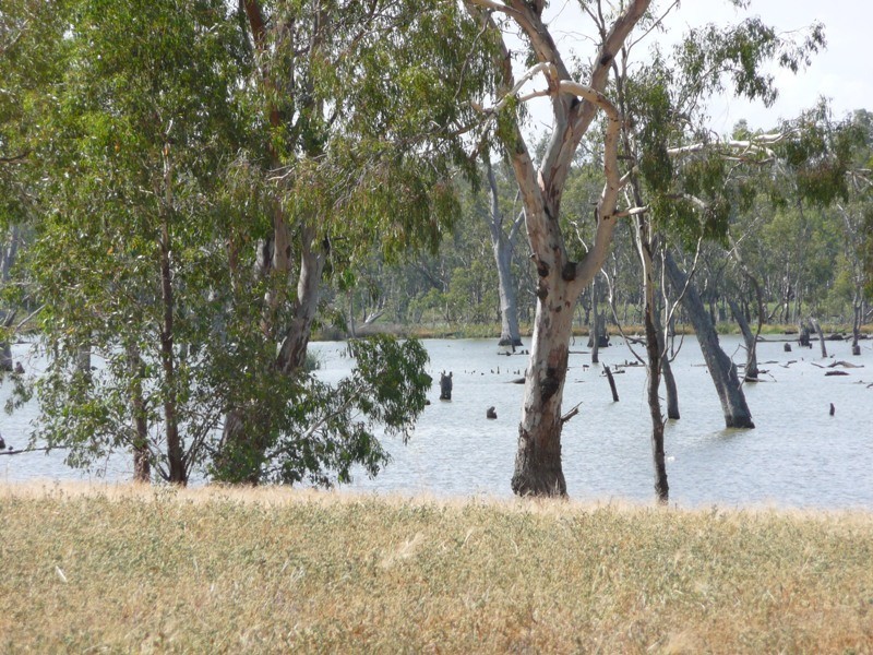 26 Lakeside Drive, Bundalong VIC 3730