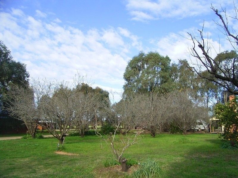 9 Havenstock Drive, Yarrawonga VIC 3730