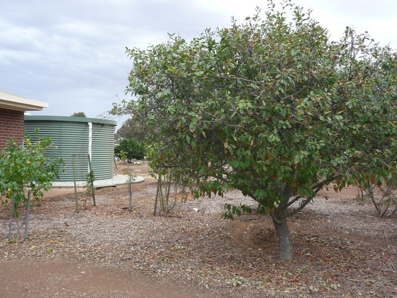 18 Charles Court, Yarrawonga VIC 3730