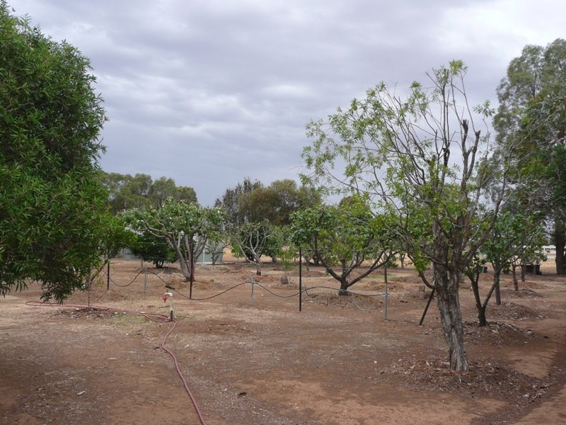 18 Charles Court, Yarrawonga VIC 3730