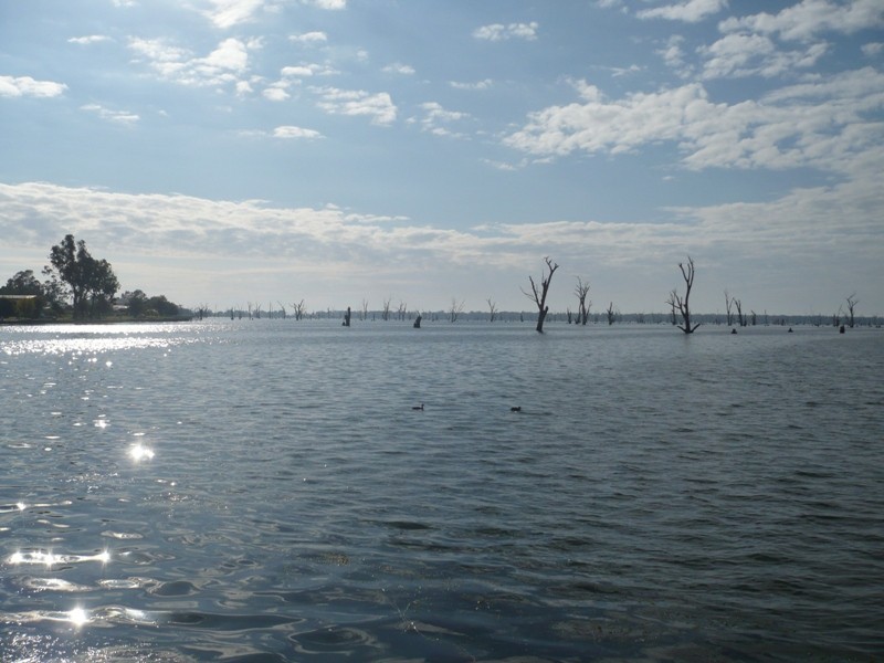 55 Lang Street, Mulwala NSW 2647