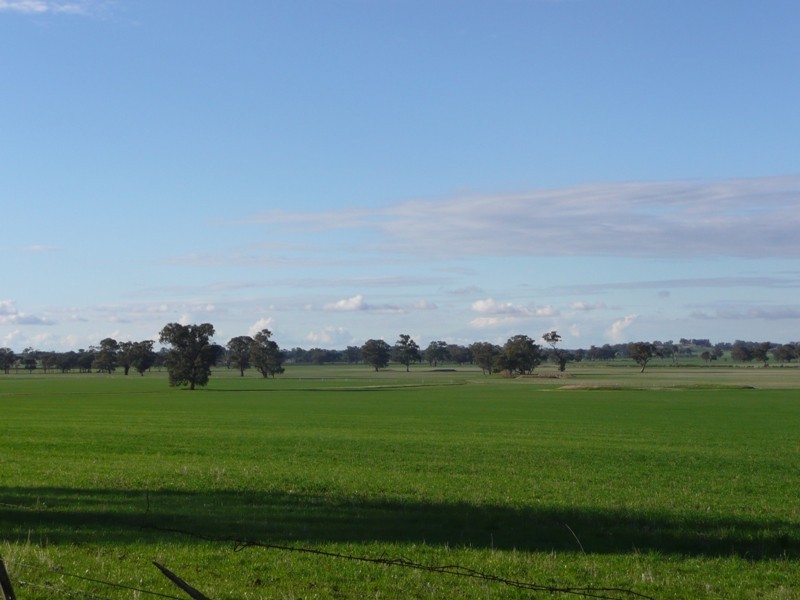 832 Tungamah – Peechelba Road, Peechelba East VIC 3678