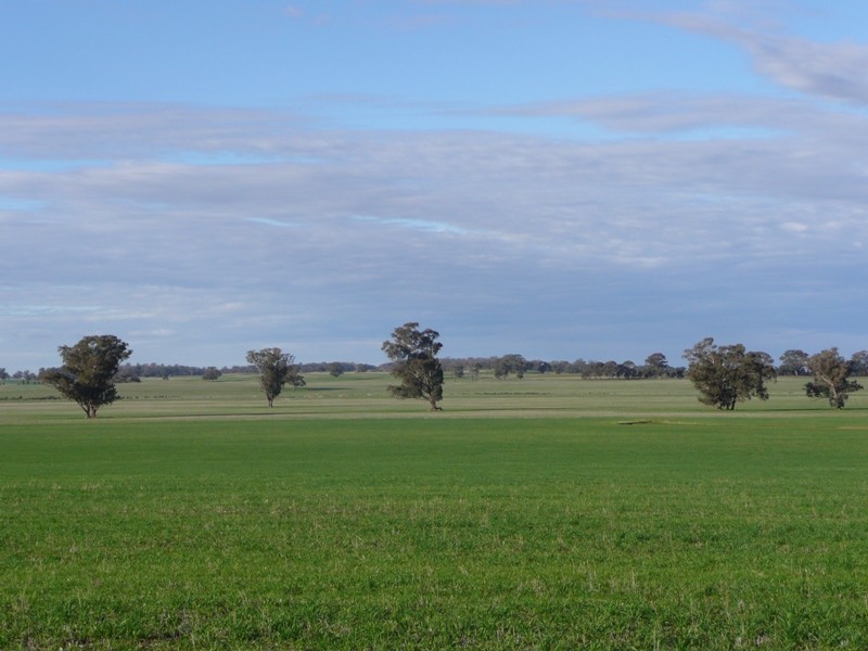 832 Tungamah – Peechelba Road, Peechelba East VIC 3678