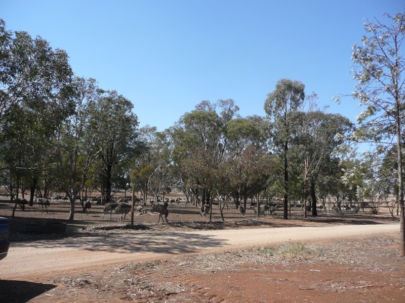 517 May’s Hill Road, Tungamah VIC 3728